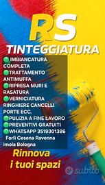 imbianchini tinteggiatura 