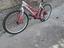 Immagine 3