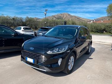 Ford Kuga 2.0 EcoBlue 120 CV aut. 2WD Titanium Bus