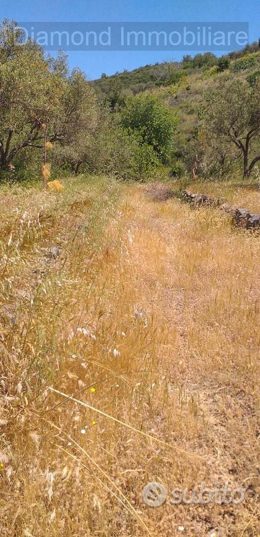 Terreno agricolo a Linguaglossa - Vista 4