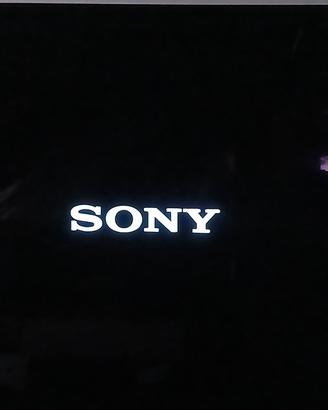 Oled Sony 55 guasto