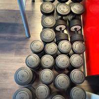 Set manubri technogym 4-30 Kg