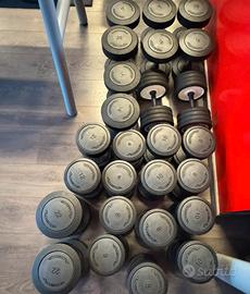 Set manubri technogym 4-30 Kg