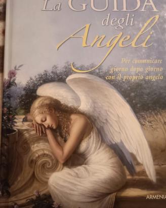 La guida degli angeli