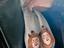 Immagine 4