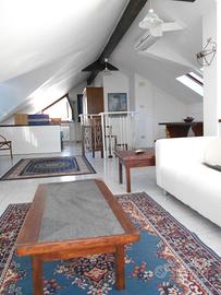 Appartamento attico arredato due piani Alpignano