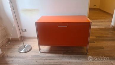 Madia lucida arancione