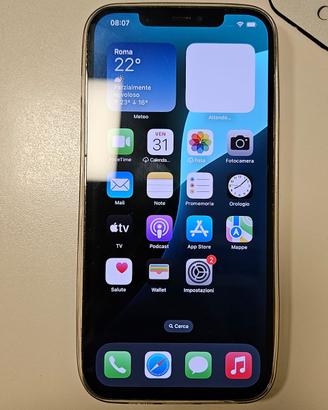iPhone 12 Pro Max da 256 GB (probl. Camera 1x)