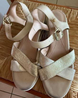 Scarpe