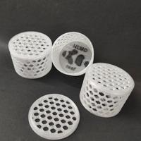 box coralli/anemoni acquario marino