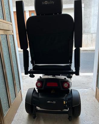 Sedia mobility 120 per disabili
