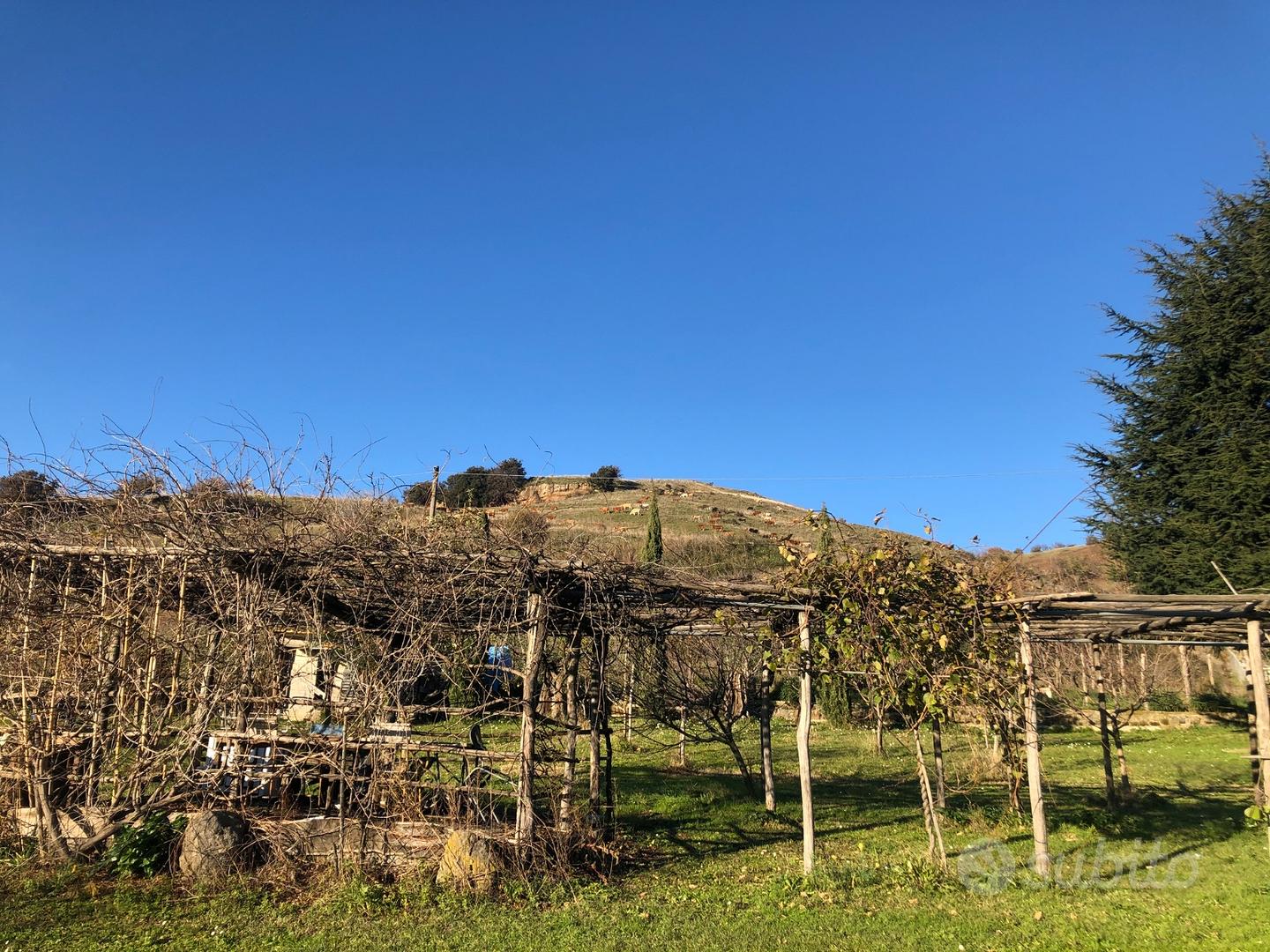Terreno agricolo Grottaferrata - Vista 3