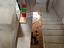 Immagine 26