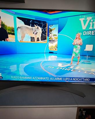 TV LG