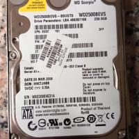 Disco rigido 250GB, adattatore e supporto