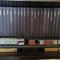 Locomotiva e Carro chiuso a carrelli Lima