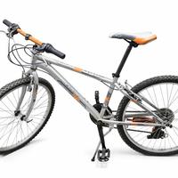 Bicicletta Mountain Bike