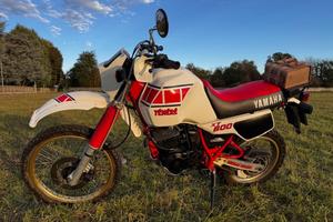 Yamaha XT 600 - 1983