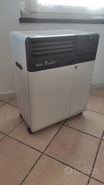 Condizionatore pinguino DeLonghi 