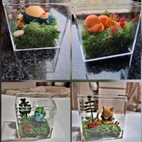 diorama con scatola Pokémon 