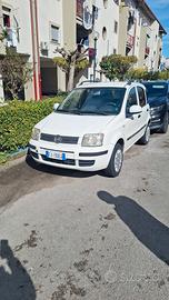 panda natural power tagliandata