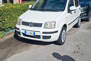 panda natural power tagliandata