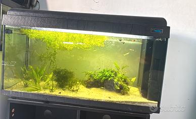 acquario 100 li