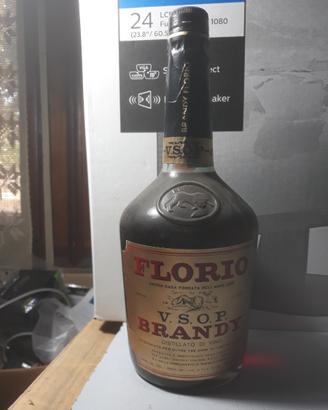 Brandy Florio