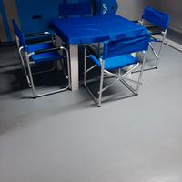 Sedie regista da campeggio