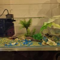 Acquario