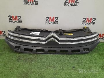 GRIGLIA ANTERIORE CITROEN C3 Serie 9812063477 (09>