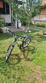 MTB VRLT Record