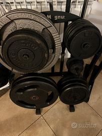 Dischi pesi, palestra, ghisa