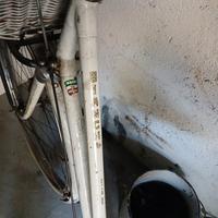 bicicletta da donna Bianchi