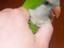 Immagine 2