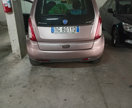 Lancia musa