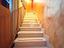 Immagine 9