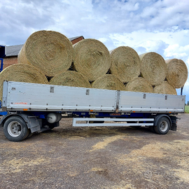 Rimorchio tabarrini ribaltabile