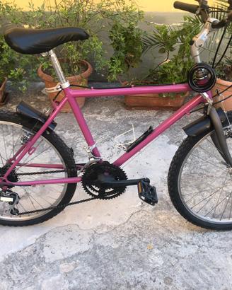 Bicicletta