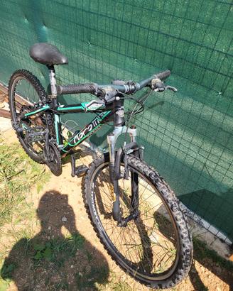 bici mtb da bambino