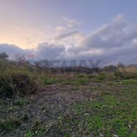 Terreno - Santa Venerina