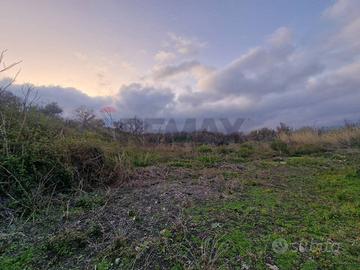 Terreno - Santa Venerina
