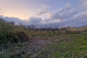 Terreno - Santa Venerina