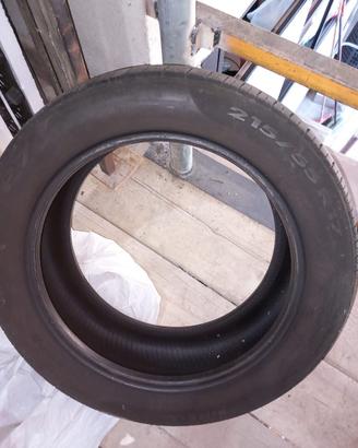 Gomme estive
