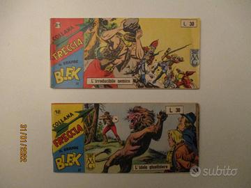 IL GRANDE BLEK fumetti a strisce