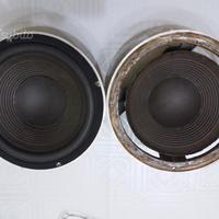 Foam sospensioni casse woofer