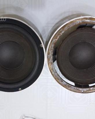 Foam sospensioni casse woofer