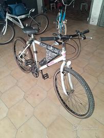 bicicletta Mountain Bike vintage anni 90