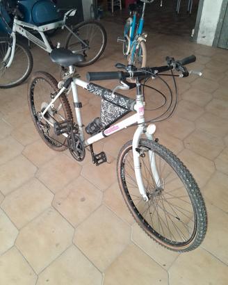 bicicletta Mountain Bike vintage anni 90