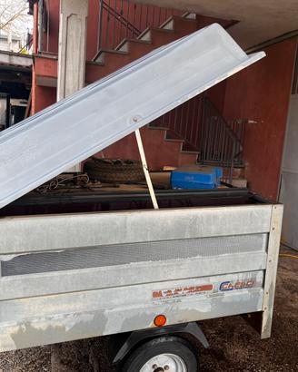 Rimorchio per trasporto cani